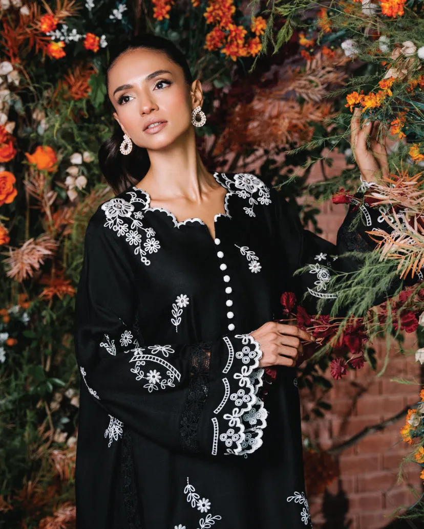 Pashmina/Velvets'24 - Pashmina Mardana
