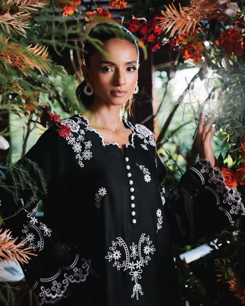 Pashmina/Velvets'24 - Pashmina Mardana